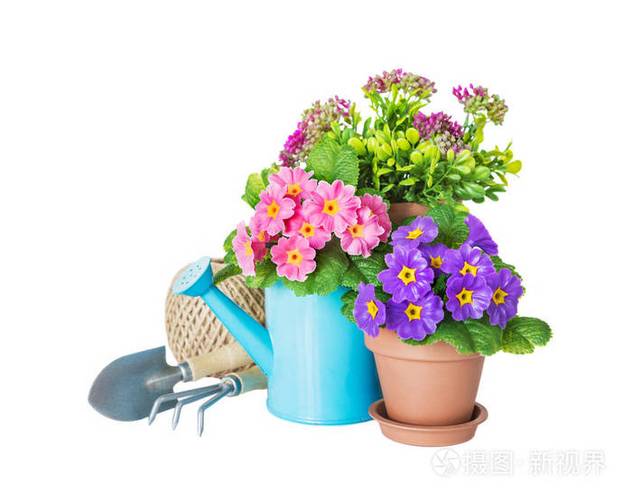 白色背景上的盆栽花水壶和园艺工具